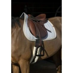 EQUITHÈME Schabracke Softy Jumping Senf Warmblut -Waldhausen Verkaufe ekkia 204 763 021 ambi1.92f2ec 4