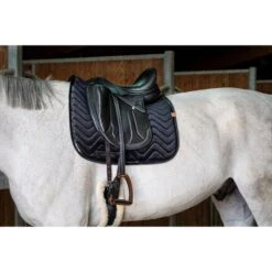 EQUITHÈME Schabracke Glossy Dressur Schwarz Warmblut -Waldhausen Verkaufe ekkia 204 765 002 ambi1.0e5d77