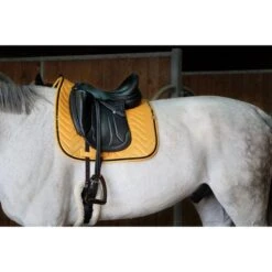 EQUITHÈME Schabracke Glossy Dressur Orange Warmblut -Waldhausen Verkaufe ekkia 204 765 010 ambi1.2512a1 1