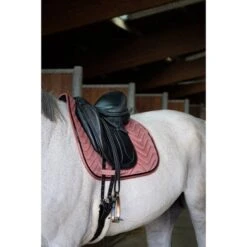EQUITHÈME Schabracke Glossy Dressur Gelb Warmblut -Waldhausen Verkaufe ekkia 204 765 013 3quart1.b1994e