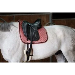 EQUITHÈME Schabracke Glossy Dressur Beige Warmblut -Waldhausen Verkaufe ekkia 204 765 013 ambi1.837364 4