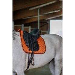 EQUITHÈME Schabracke Glossy Dressur Orange Warmblut -Waldhausen Verkaufe ekkia 204 765 022 3quart1.d424c0