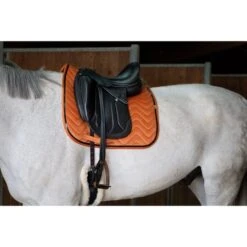 EQUITHÈME Schabracke Glossy Dressur Orange Warmblut -Waldhausen Verkaufe ekkia 204 765 022 ambi1.a34c53