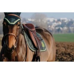 EQUITHÈME Schabracke Badge Springen Schwarz Warmblut -Waldhausen Verkaufe ekkia 204 770 008 ambi4.719c97 1