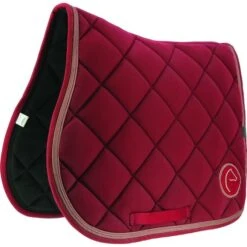 EQUITHÈME Schabracke Badge Springen Dunkelgrün Warmblut 17 EQUITHÈME Schabracke Badge Springen Dunkelgrün Warmblut -Waldhausen Verkaufe ekkia 204 770 033.91ea33 4