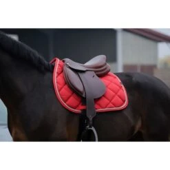 EQUITHÈME Schabracke Classic Springen Dunkelgrün Warmblut -Waldhausen Verkaufe ekkia 204 773 003 ambi1.3a2928