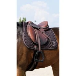 EQUITHÈME Schabracke Rain Springen Navy Warmblut -Waldhausen Verkaufe ekkia 204 780 004 ambi1.745477 1
