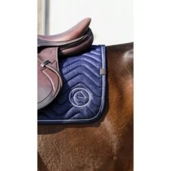 EQUITHÈME Schabracke Rain Springen Braun Warmblut -Waldhausen Verkaufe ekkia 204 780 007 ambi1.78650e 2