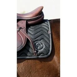 EQUITHÈME Schabracke Rain Springen Navy Warmblut -Waldhausen Verkaufe ekkia 204 780 009 ambi2.e68bf5 1