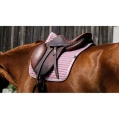 EQUITHÈME Schabracke Spring Springen Rosa Warmblut -Waldhausen Verkaufe ekkia 204 781 013 ambi3.100e61 2