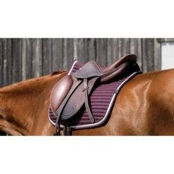 EQUITHÈME Schabracke Spring Springen Blau Warmblut -Waldhausen Verkaufe ekkia 204 781 033 ambi3.b2a66f 2