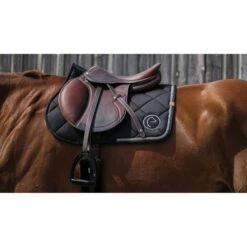 EQUITHÈME Schabracke Badge 2.0 Springen Schwarz Warmblut -Waldhausen Verkaufe ekkia 204 783 002 ambi2.083e3b 1