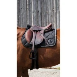 EQUITHÈME Schabracke Badge 2.0 Springen Schwarz Warmblut -Waldhausen Verkaufe ekkia 204 783 002 ambi3.9f227d 1