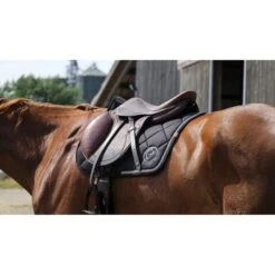 EQUITHÈME Schabracke Badge 2.0 Springen Schwarz Warmblut -Waldhausen Verkaufe ekkia 204 783 002 ambi4.dd8093 1