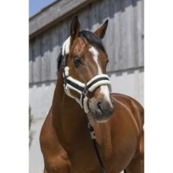 Norton Halfter Cosy Braun -Waldhausen Verkaufe ekkia 510 243 302 ambi 1.30484e 1