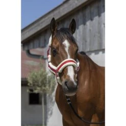 Norton Halfter Cosy Braun -Waldhausen Verkaufe ekkia 510 243 303 ambi 1.d21b68 1