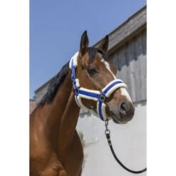 Norton Halfter Cosy Braun -Waldhausen Verkaufe ekkia 510 243 306 ambi.a473cb 1