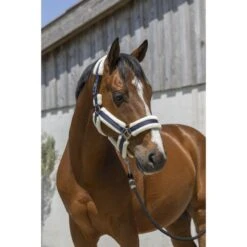 Norton Halfter Cosy Burgunderrot -Waldhausen Verkaufe ekkia 510 243 307 ambi.d51b69