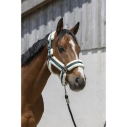 Norton Halfter Cosy Braun -Waldhausen Verkaufe ekkia 510 243 309 ambi.348e99 1