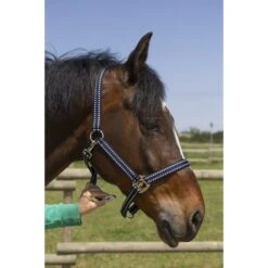 Norton Halfter Grooming Navy