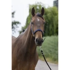 Norton Halfter Satine Honig -Waldhausen Verkaufe ekkia 510 248 307 ambi.3d8d3e 5