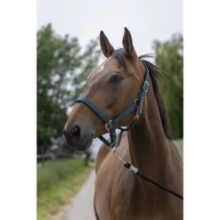 Norton Halfter Satine Rot/Schwarz -Waldhausen Verkaufe ekkia 510 248 309 ambi.29e63a