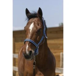 Norton Halfter Satine Burgundy/schwarz -Waldhausen Verkaufe ekkia 510 248 342 ambi.ee300a 2