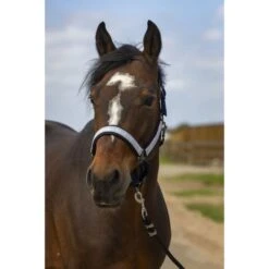 EQUITHÈME Halfter Check Nylon Navy/Braun -Waldhausen Verkaufe ekkia 510 251 327 ambi.4beb86 1