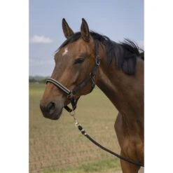 EQUITHÈME Halfter Chevron Nylon Silber Warmblut -Waldhausen Verkaufe ekkia 510 254 00 ambi 3.bde516