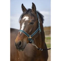 EQUITHÈME Halfter Light Nylon Burgunderrot -Waldhausen Verkaufe ekkia 510 255 309 ambi.0effb4 1