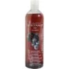 Officinalis Shampoo Blueberry 500ml -Waldhausen Verkaufe ekkia 709 001.985f09