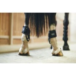 Compositi Streichkappen Protech Schwarz Warmblut -Waldhausen Verkaufe ekkia 940 538 001 ambi.4cd3cf