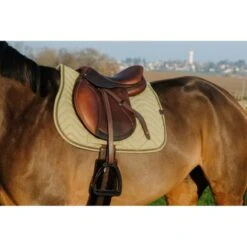 EQUITHÈME Schabracke Chevron Springen Schwarz Warmblut -Waldhausen Verkaufe ekkia equitheme chevron sjabrak 6.7b6b13