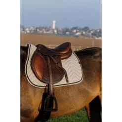 EQUITHÈME Schabracke Chevron Springen Schwarz Warmblut -Waldhausen Verkaufe ekkia equitheme chevron sjabrak 9.de749b