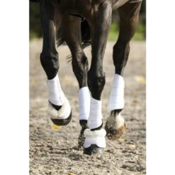 Lami-Cell Fesselkopfgamaschen V22 Schwarz -Waldhausen Verkaufe ekkia lami cell v22 brushing boots gesloten beenbeschermers 3.716b95