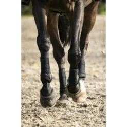 Lami-Cell Fesselkopfgamaschen V22 Schwarz -Waldhausen Verkaufe ekkia lami cell v22 brushing boots gesloten beenbeschermers 6.d2791a