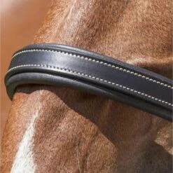 Norton Halfter Grooming Leder Schwarz Warmblut -Waldhausen Verkaufe ekkia z06612 510 306 302 det1.660bc8