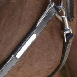 Norton Halfter Grooming Leder Schwarz Warmblut -Waldhausen Verkaufe ekkia z06612 510 306 302 det2.8d992e