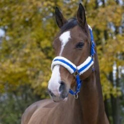 Norton Halfter Confort Schwarz -Waldhausen Verkaufe ekkia z06883 510 016 306 ambi1.bba6d5