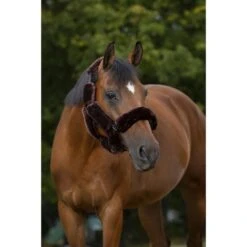 EQUITHÈME Halfterset Teddy Navy -Waldhausen Verkaufe ekkia z06950 207 500 304 ambi.f9b295