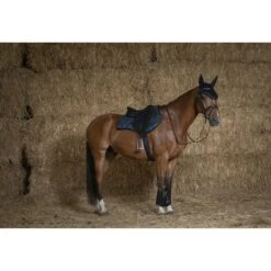 EQUITHÈME Schabracke Glitter Grün Full -Waldhausen Verkaufe ekkia z07130 204 728 008 ambi3.70d843