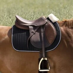 EQUITHÈME Schabracke Teddy Vielseitigkeit Schwarz Warmblut -Waldhausen Verkaufe ekkia z07131 204 730 002 ambi.051e5e