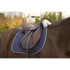 EQUITHÈME Schabracke Teddy Vielseitigkeit Schwarz Warmblut -Waldhausen Verkaufe ekkia z07131 204 730 007 ambi2.5878b4