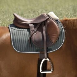 EQUITHÈME Schabracke Teddy Vielseitigkeit Schwarz Warmblut -Waldhausen Verkaufe ekkia z07131 204 730 009 ambi.546dbe