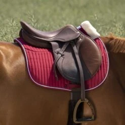 EQUITHÈME Schabracke Teddy Vielseitigkeit Schwarz Warmblut -Waldhausen Verkaufe ekkia z07131 204 730 033 ambi.82de30