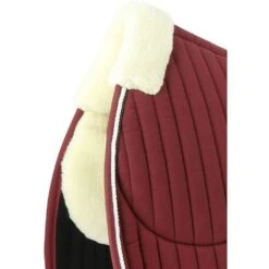 EQUITHÈME Schabracke Teddy Vielseitigkeit Schwarz Warmblut -Waldhausen Verkaufe ekkia z07131 204 730 033 det4.c14986