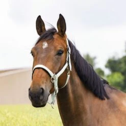 EQUITHÈME Halfter Air Denim Blau -Waldhausen Verkaufe ekkia z07768 510 103 308 ambi.baacc5