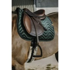 EQUITHÈME Schabracke Glossy Vielseitig Altrosa Warmblut -Waldhausen Verkaufe ekkia z08296 204 761 009 ambi1.96e1ee 1