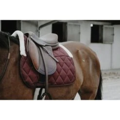 EQUITHÈME Schabracke Pro Air Vielseitig Dunkelgrün Warmblut -Waldhausen Verkaufe ekkia z08298 204 922 033 ambi1.bd1bf3 3