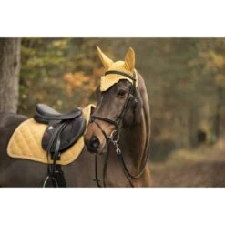 Lami-Cell Schabracke Vielseitigkeit Honey Gold Warmblut -Waldhausen Verkaufe ekkia22 220 008 026 ambi1.b12271 1